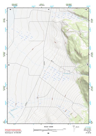37105SE Page 99 Alamosa Topo Preview 1
