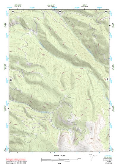 37105SE Page 101 Alamosa Topo Preview 1
