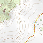 37107NE Page 7 Silverton Topo Preview 2