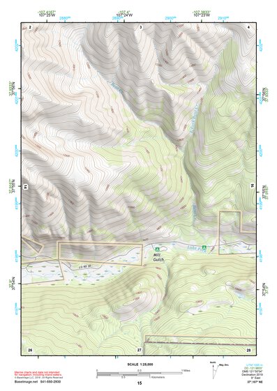 37107NE Page 15 Silverton Topo Preview 1