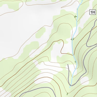 37107NE Page 31 Silverton Topo Preview 2