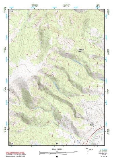 37107NE Page 48 Silverton Topo Preview 1