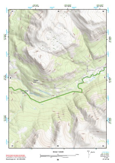 37107NE Page 50 Silverton Topo Preview 1