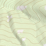 37107NE Page 51 Silverton Topo Preview 2
