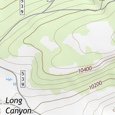 37107NE Page 54 Silverton Topo Preview 2