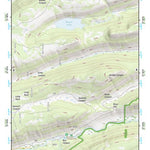 37107NE Page 55 Silverton Topo Preview 1