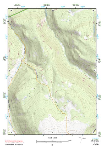 37107NE Page 67 Silverton Topo Preview 1