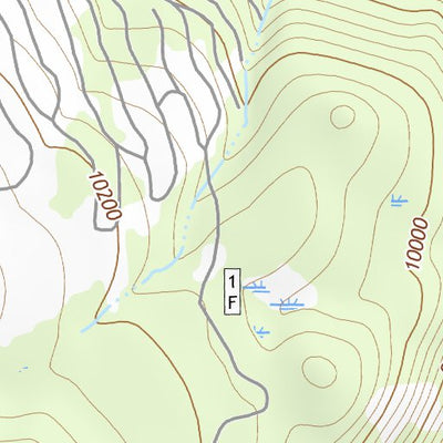 37107NE Page 71 Silverton Topo Preview 2