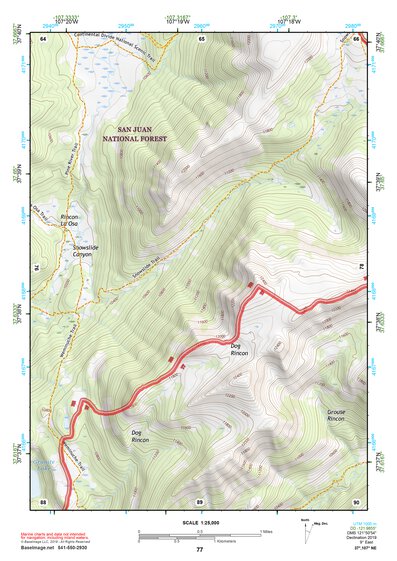37107NE Page 77 Silverton Topo Preview 1