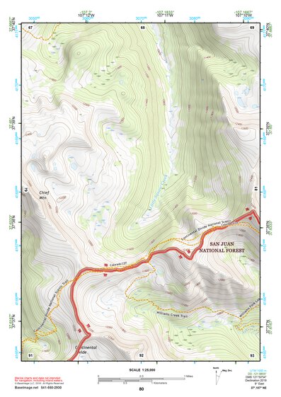 37107NE Page 80 Silverton Topo Preview 1