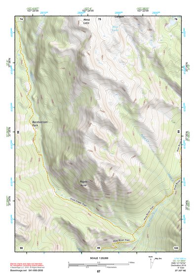 37107NE Page 87 Silverton Topo Preview 1