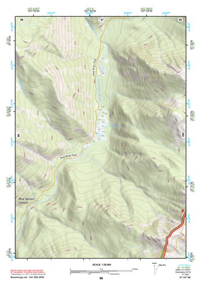 37107NE Page 99 Silverton Topo Preview 1