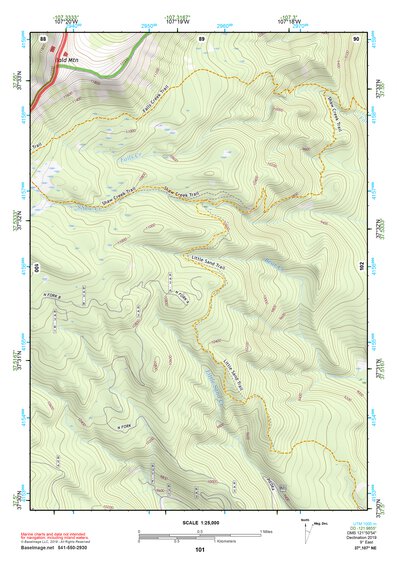 37107NE Page 101 Silverton Topo Preview 1