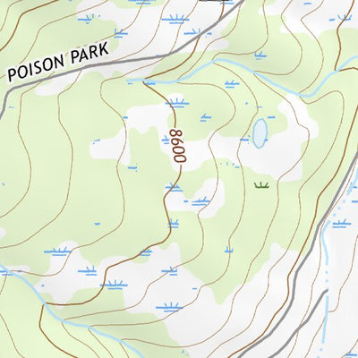 37107NE Page 103 Silverton Topo Preview 2