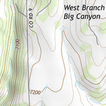 37108NW Page 39 Dove Creek Topo Preview 3