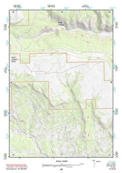 37109NE Page 65 Blanding Topo Preview 1