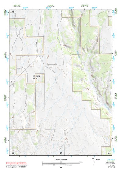 37109NE Page 75 Blanding Topo Preview 1