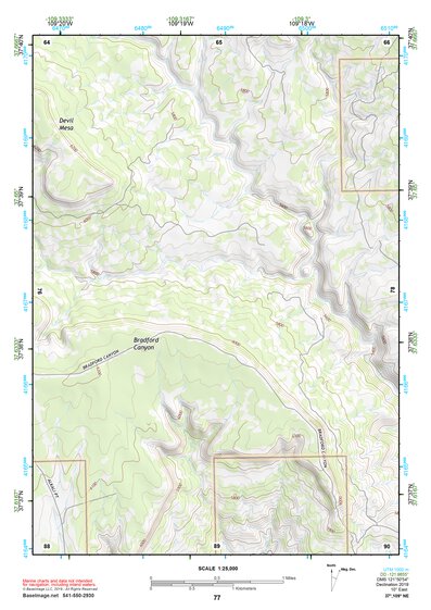 37109NE Page 77 Blanding Topo Preview 1