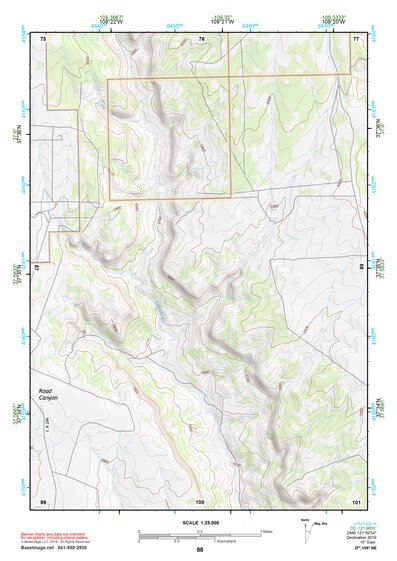 37109NE Page 88 Blanding Topo Preview 1