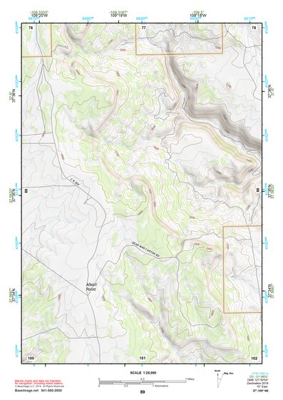 37109NE Page 89 Blanding Topo Preview 1