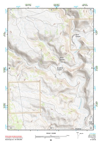37109NE Page 90 Blanding Topo Preview 1
