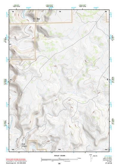37109NE Page 91 Blanding Topo Preview 1
