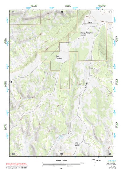 37109NE Page 94 Blanding Topo Preview 1