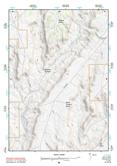 37109NE Page 98 Blanding Topo Preview 1