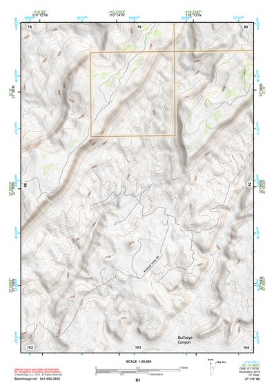37110NE Page 91 Hite Crossing Topo Preview 1