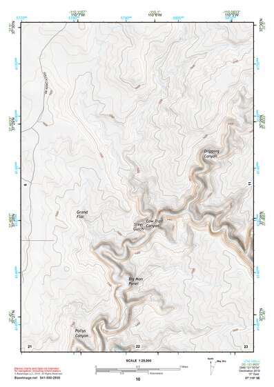 37110SE Page 10 Navajo Mountain Topo Preview 1