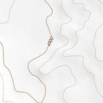 37110SE Page 79 Navajo Mountain Topo Preview 2