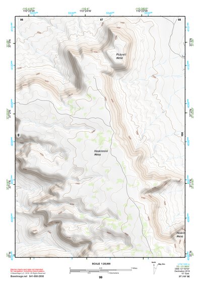 37110SE Page 99 Navajo Mountain Topo Preview 1