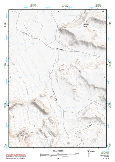 37110SE Page 100 Navajo Mountain Topo Preview 1
