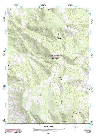 37113NW Page 101 Cedar City Topo Preview 1