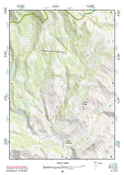 37113SE Page 39 Saint George Topo Preview 1