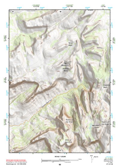 37113SE Page 60 Saint George Topo Preview 1