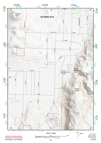 37113SE Page 77 Saint George Topo Preview 1