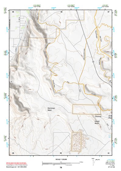 37113SE Page 78 Saint George Topo Preview 1