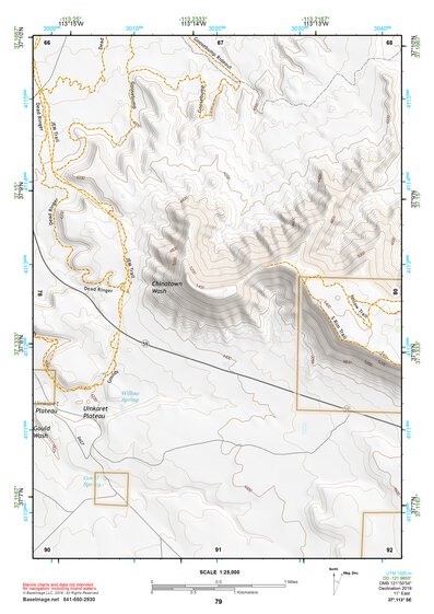 37113SE Page 79 Saint George Topo Preview 1