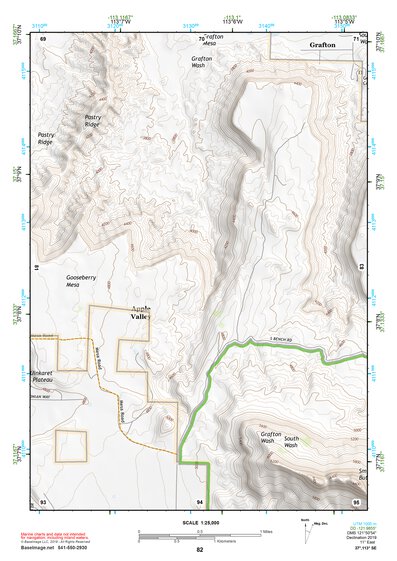 37113SE Page 82 Saint George Topo Preview 1