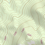 37114NE Page 45 Caliente Topo Preview 3