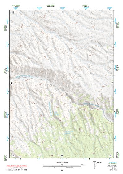 37114NE Page 65 Caliente Topo Preview 1