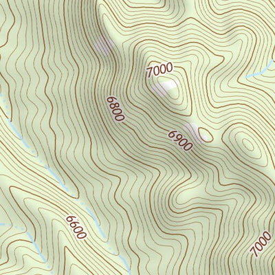 37114NE Page 78 Caliente Topo Preview 3