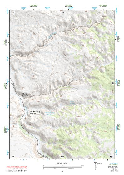37114NE Page 88 Caliente Topo Preview 1