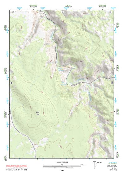 37114NE Page 100 Caliente Topo Preview 1