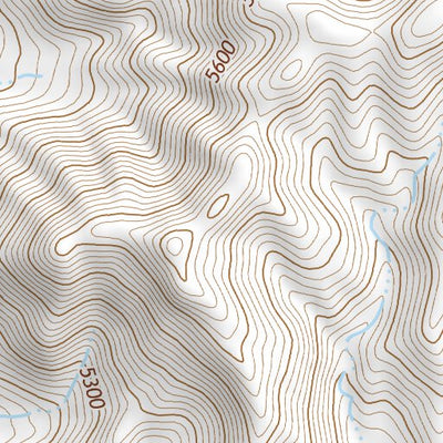 37114NW Page 20 Caliente Topo Preview 2