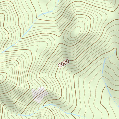 37114NW Page 24 Caliente Topo Preview 3