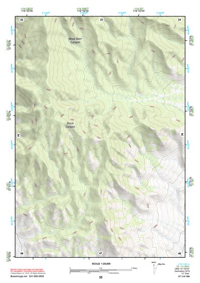 37114NW Page 35 Caliente Topo Preview 1
