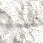 37115NE Page 42 Timpahute Range Topo Preview 2