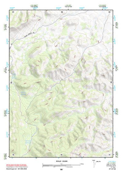 37115NE Page 64 Timpahute Range Topo Preview 1